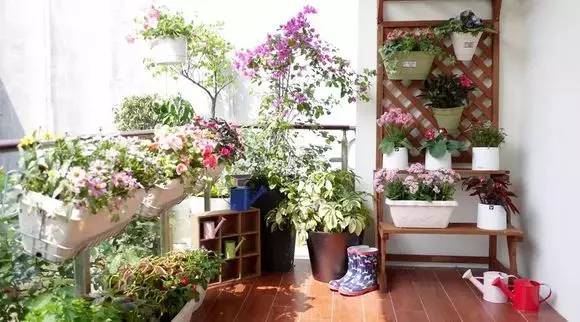 廈門院子裝修_廈門裝修院子效果圖_廈門裝修院子價格多少