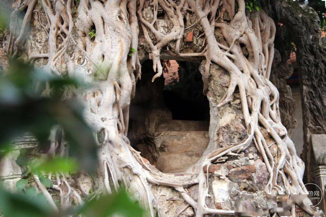 廈門裝修別墅_別墅廈門裝修圖片_廈門別墅裝修價格