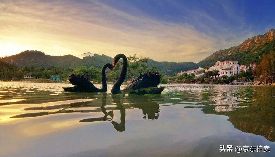 廈門(mén)豪宅裝飾公司_廈門(mén)豪宅別墅_廈門(mén)別墅裝修公司