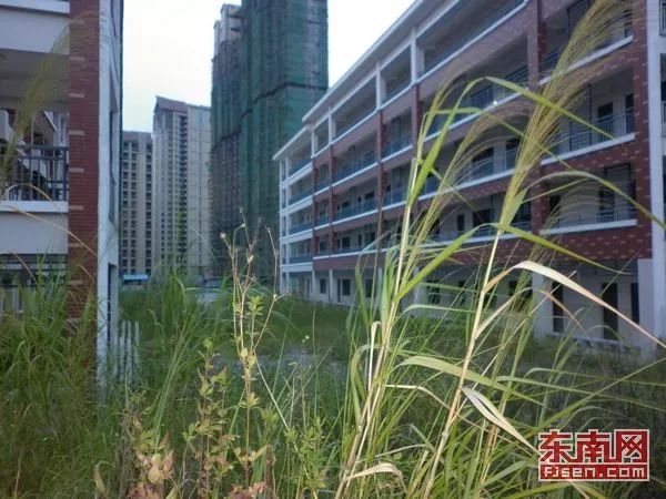 廈門精裝修二手房出售_廈門精裝修房最新房價(jià)_廈門精裝房裝修