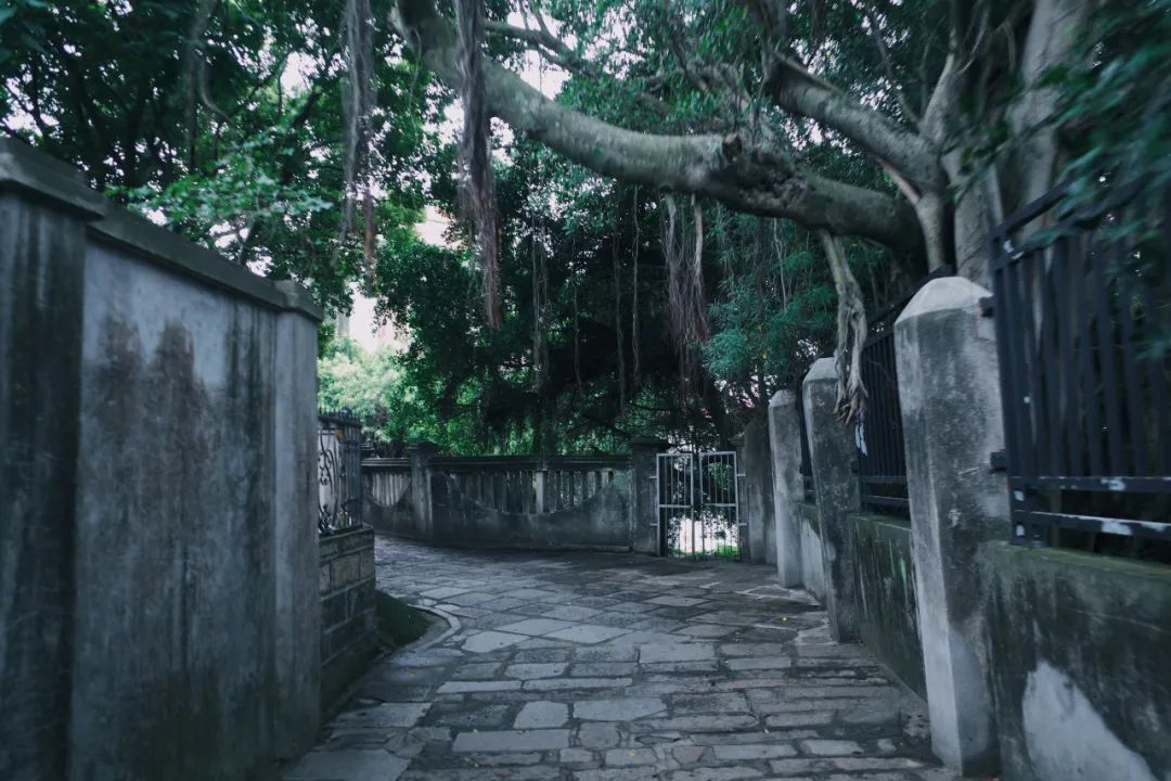 福州龍頭裝修_廈門十大裝修_廈門龍頭裝修