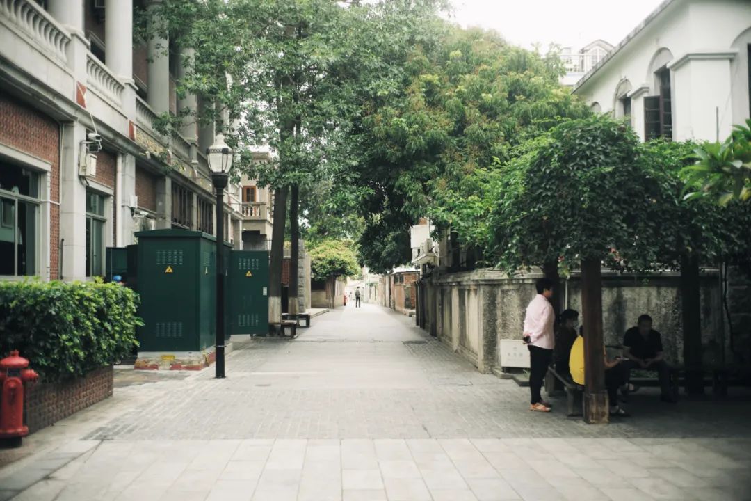 福州龍頭裝修_廈門十大裝修_廈門龍頭裝修