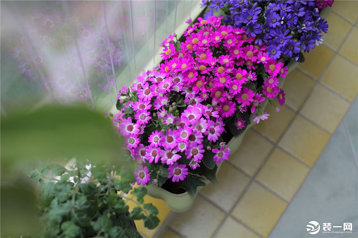 廈門陽臺裝修改造_陽臺改造大概費(fèi)用_想改造一下陽臺得找誰