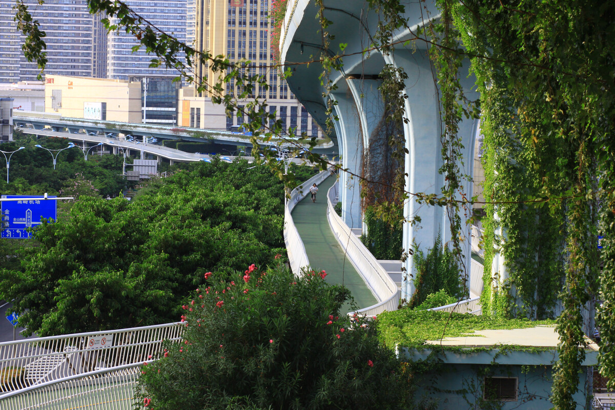 廈門前十名裝飾公司_廈門十佳裝飾企業(yè)_廈門裝飾公司排名名單