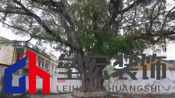 期頤華僑反哺故鄉(xiāng)桑梓情深，“夢改”助力潮州大吳村再綻魅力