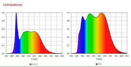 Waldmann:不忘初心的工業(yè)燈Taneo