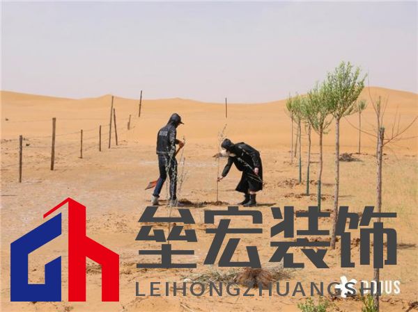 DOJUS 度假式家私：重構(gòu)家居消費場景，定義“日常，就度假”的美學(xué)革命